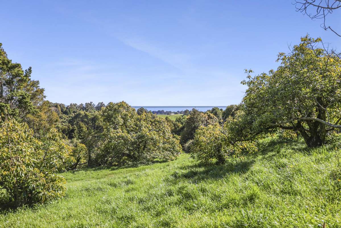 144A Rocklands Road_5