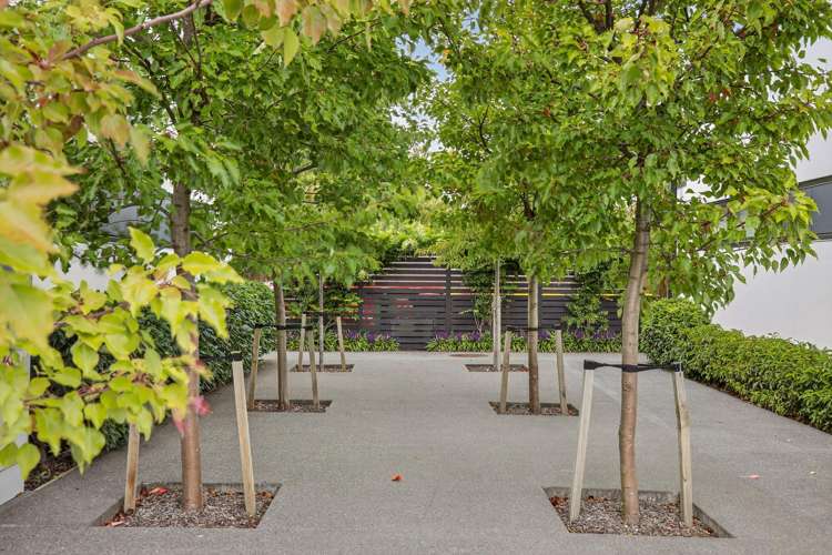 4/142 Leinster Road Merivale_12