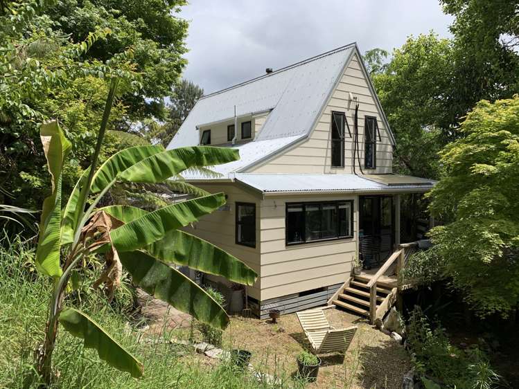 213 Packard Road Kahurangi National Park_4