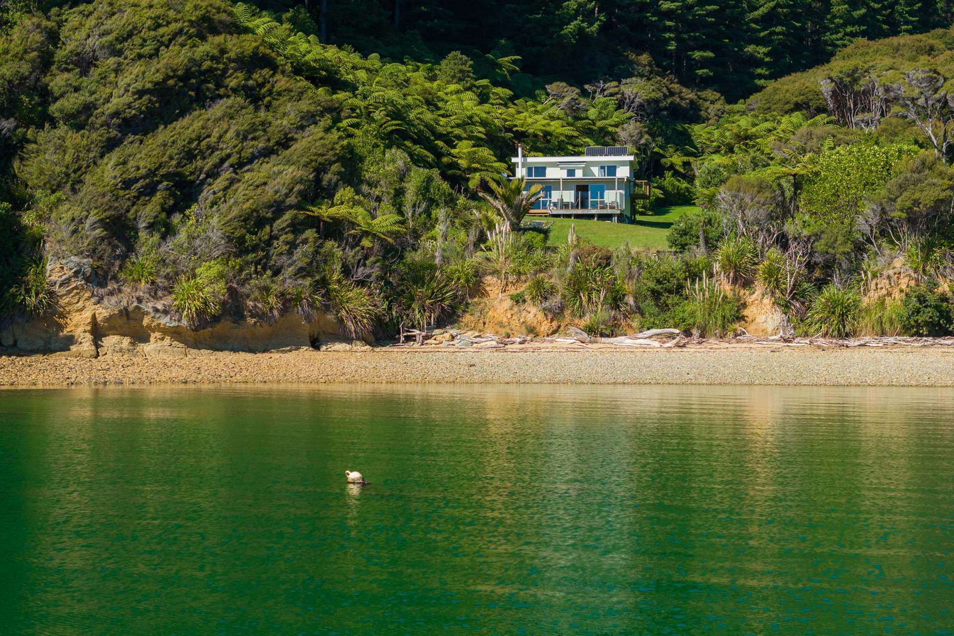 Lot 6 Grant Bay, Manaroa Marlborough Sounds_0