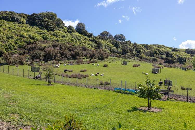 695F Chester Road West Taratahi_19