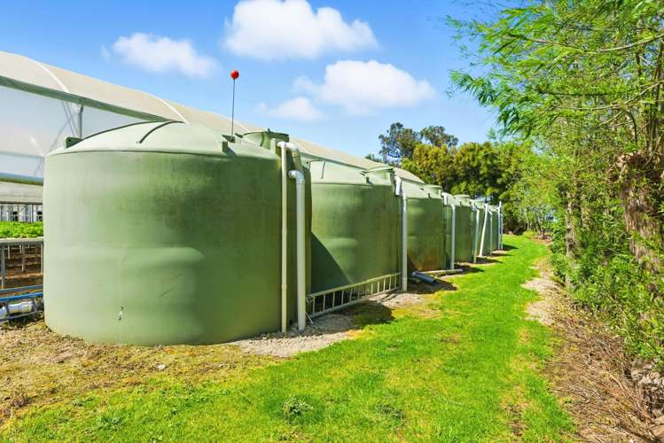 16 Lupton Street Waverley_11