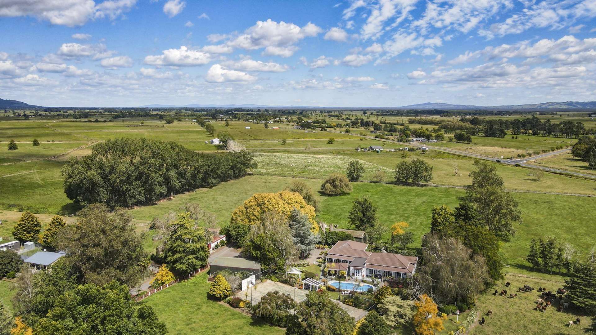 6520 Wilson Road (SH2) Netherton_0