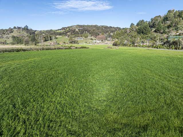 342 Hill Road Eskdale_2