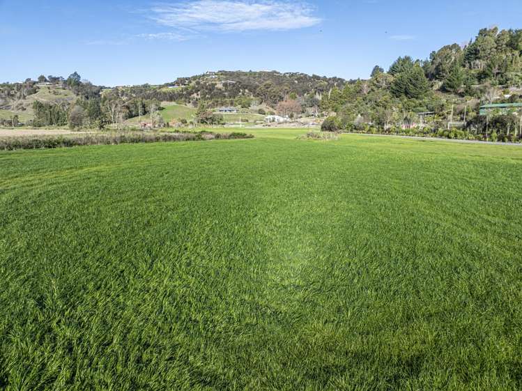 342 Hill Road Eskdale_2