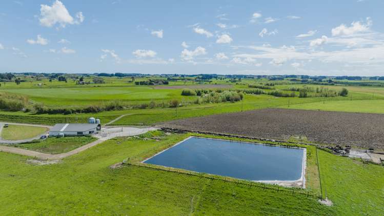 1217 Rangiotu Road Tiakitahuna_16