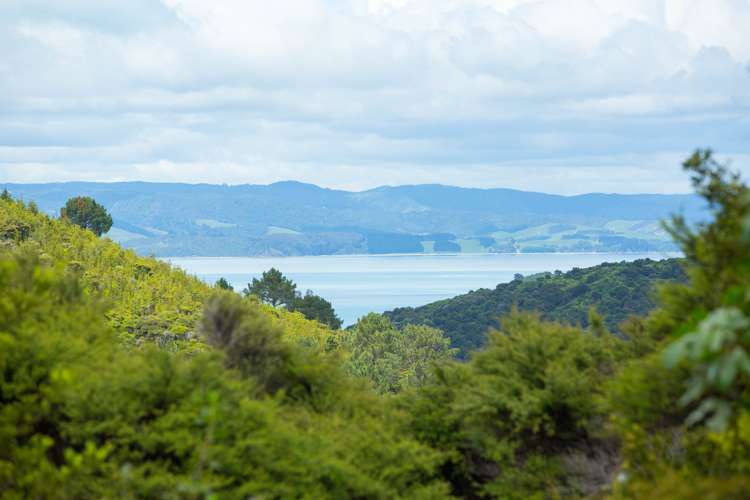 175 Orapiu Road Waiheke Island Waiheke Island Houses for Sale