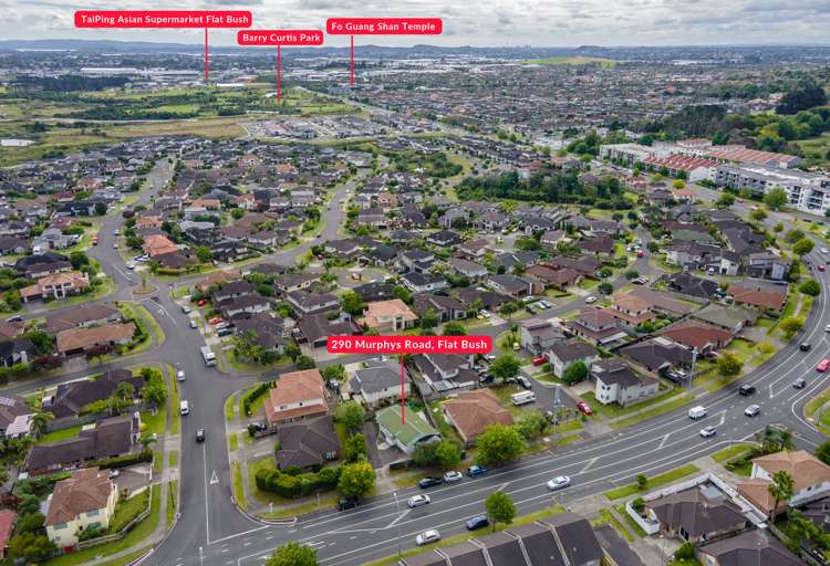 290 Murphys Road Flat Bush_16