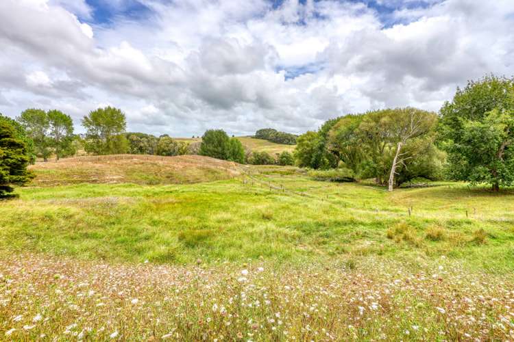 75 Homestead Lane Kaiwaka_26