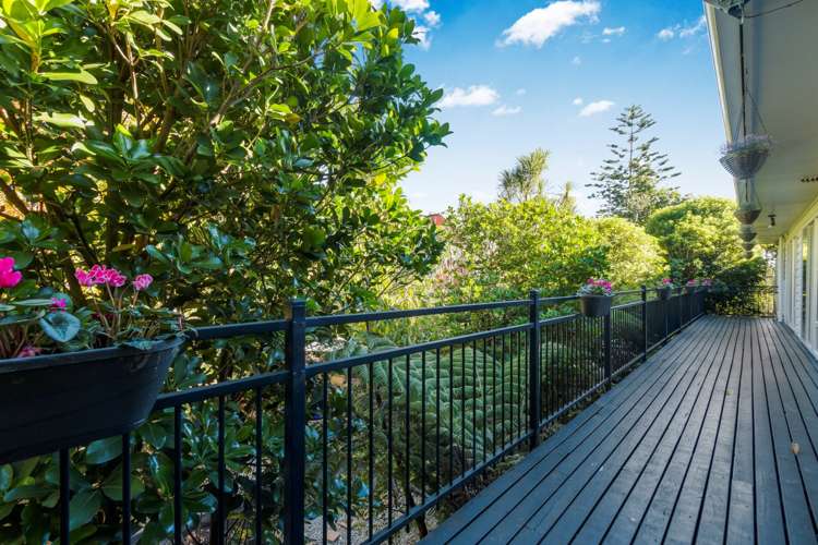 3a Palmer Crescent Mission Bay_12