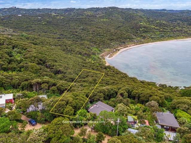 Elevated, peaceful, private sea & bush section
