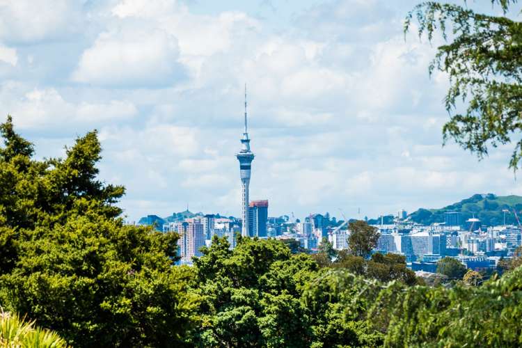 19 Holland Road Hillcrest_7