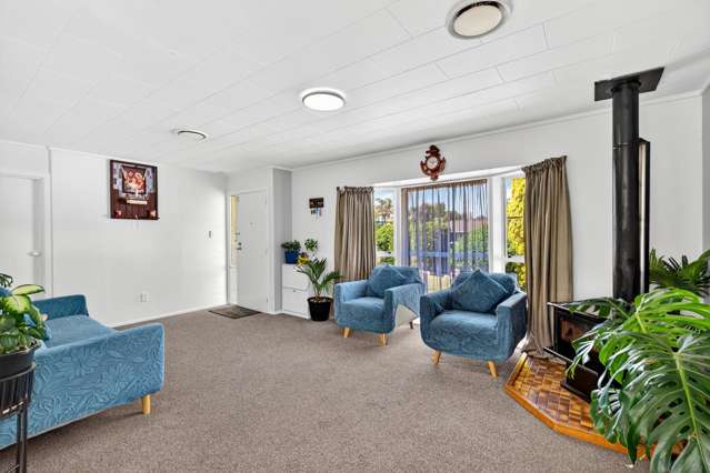 20 Norfolk Street Tamatea_1