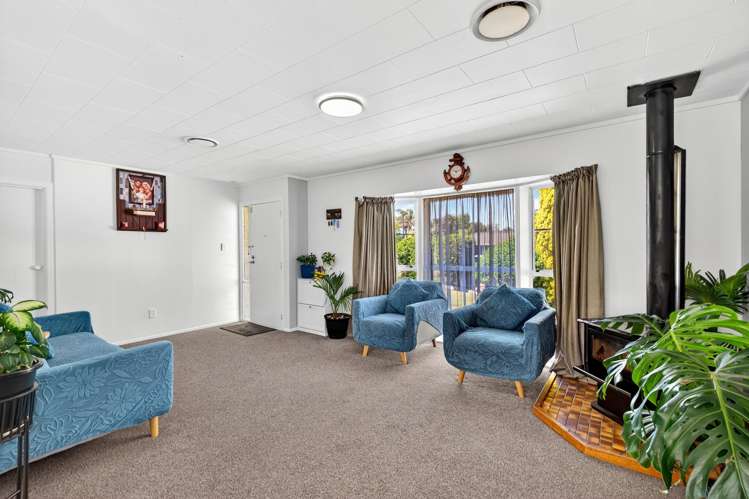 20 Norfolk Street Tamatea_1