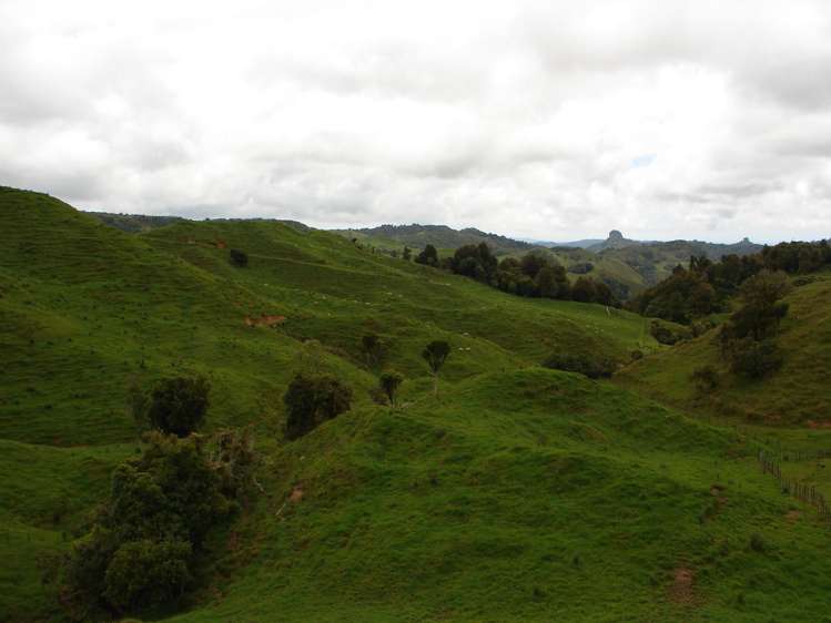 Mahoe Road Waitomo_7