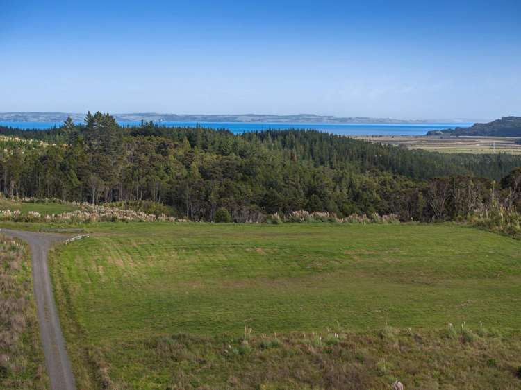 201B Tuhirangi Road_4