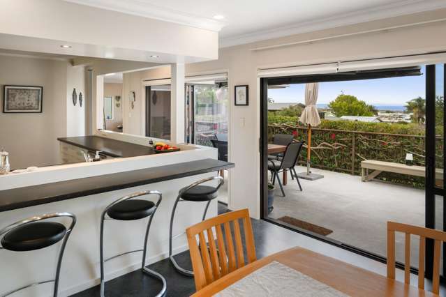 400 The Terrace Thames-coromandel_4