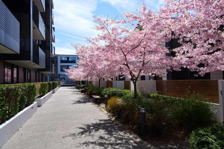 106/36a Welles Street Christchurch Central_15