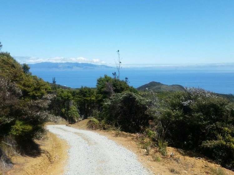 411 Schooner Bay Road Great Barrier Island (Aotea Island)_13