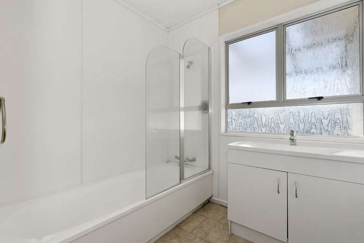 111 Albert Street Hamilton East_4