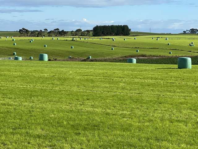 165 Orr Road Waimatua_4