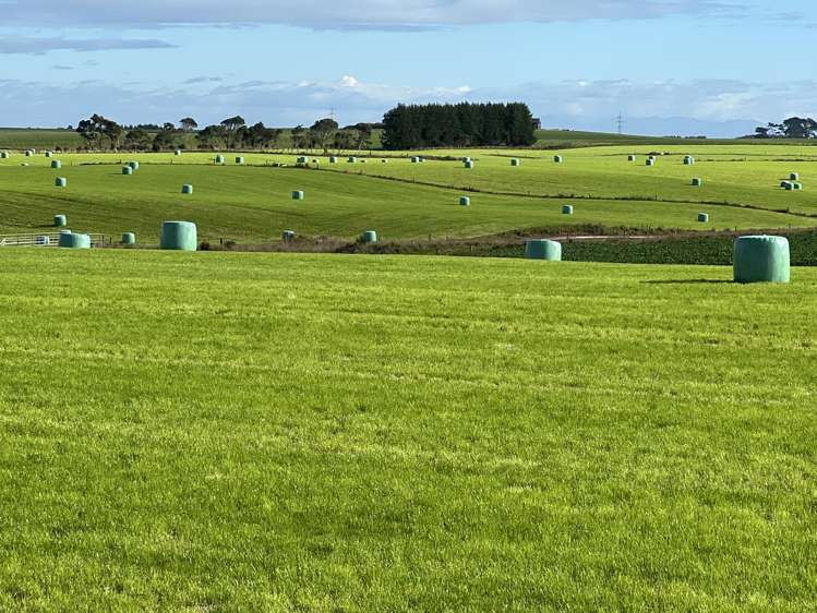 165 Orr Road Waimatua_4