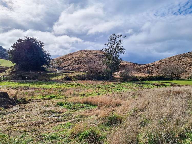 20 Bard Street Clinton and Surrounds_13
