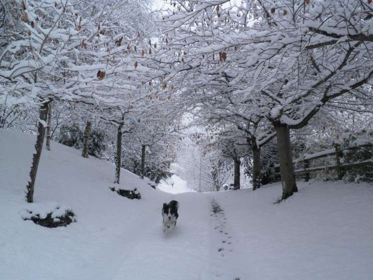 11 Arthurs Track Arthurs Point_21
