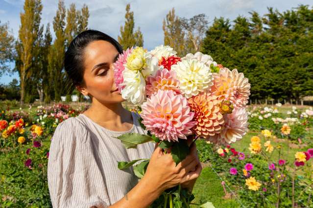 15 Havelock Road Havelock North_2