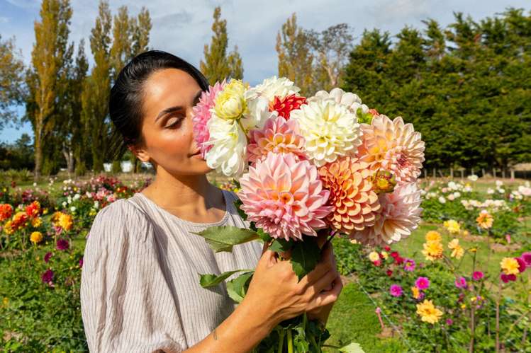 15 Havelock Road Havelock North_2