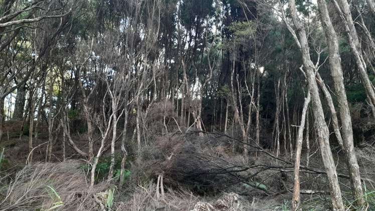 119 Cable Bay Block Road Cable Bay_16