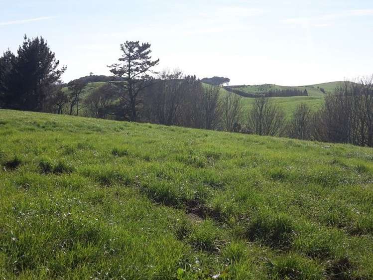 346 Rugby Road Tariki_15