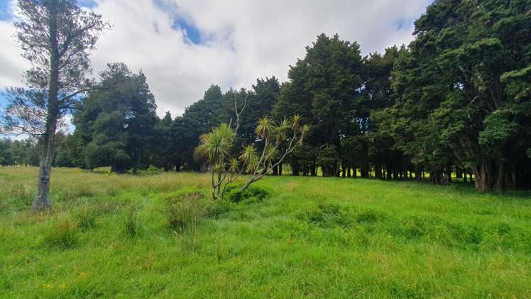 1241 Ararua Road Ararua_17