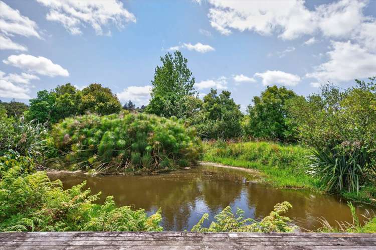 198b Devich Road Mangawhai_28