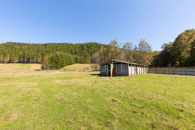 586 Howard Valley Road Kahurangi National Park_21