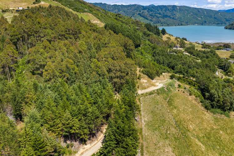 1118 Queen Charlotte Drive Queen Charlotte Sound_24