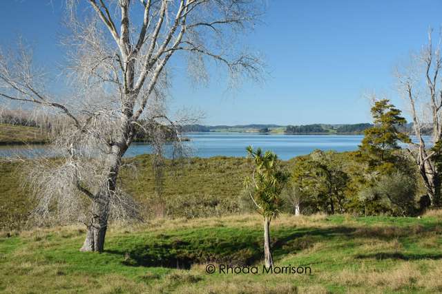 50 Barlow Lane Matakohe_4