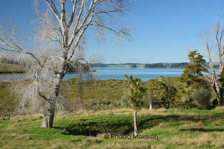 50 Barlow Lane Matakohe_4