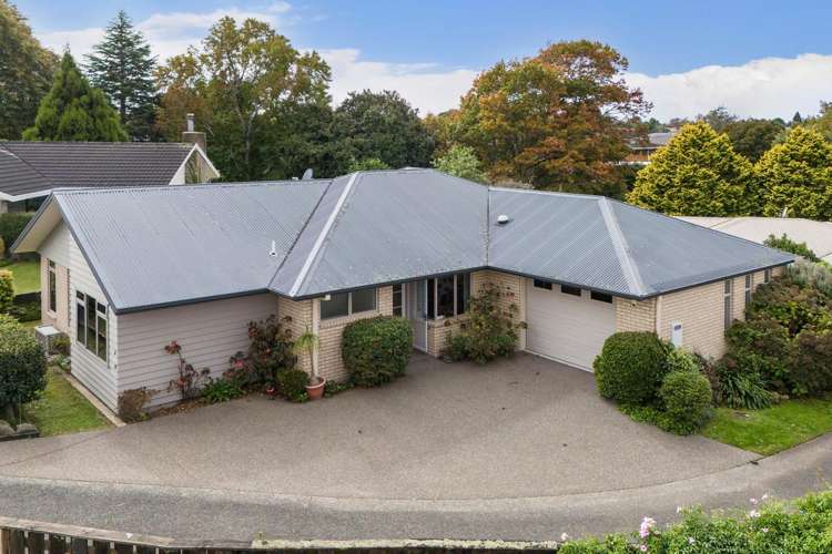 28a Tui Place Katikati_12