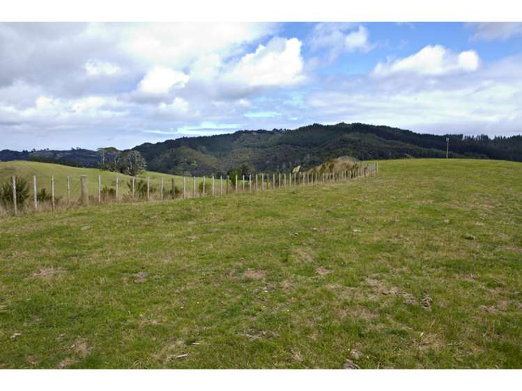 47 Haul Road Tahekeroa_10