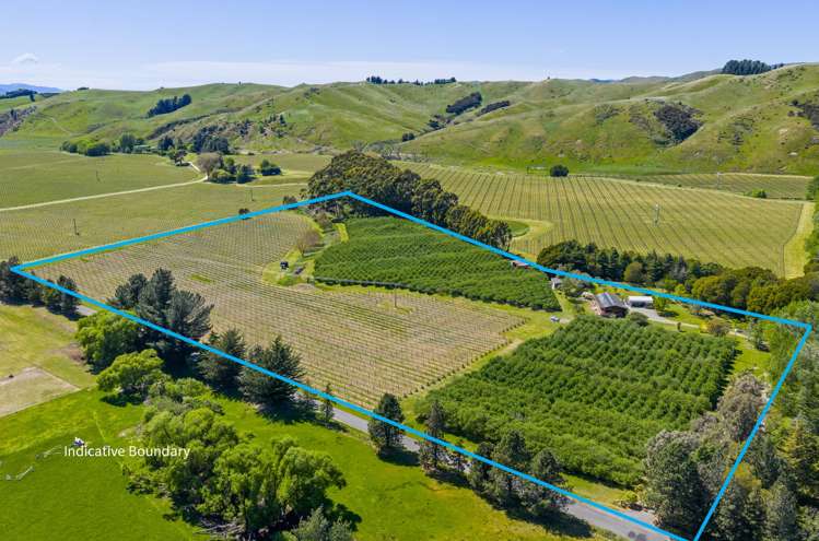 191 Tyntesfield Road Waihopai Valley_57