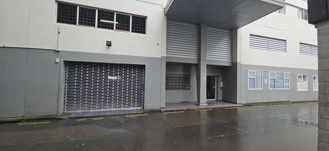 S/7 Feltex Lane Te Aro_2