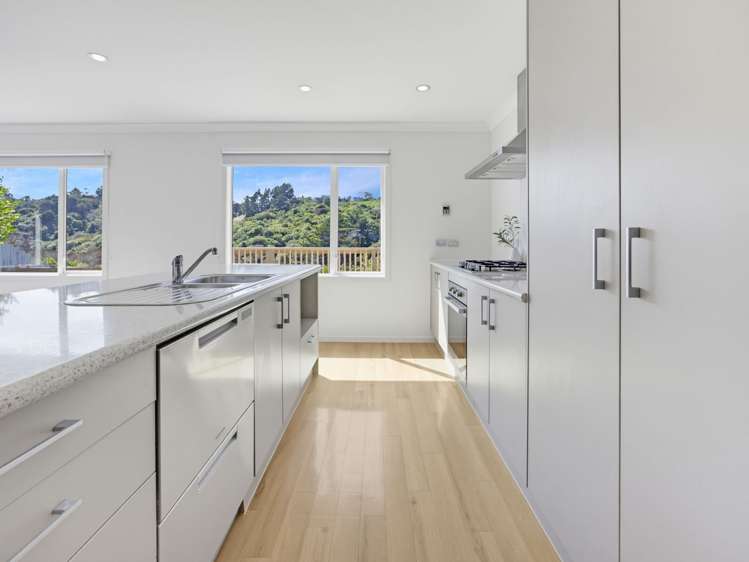 47 TE PUIA DRIVE Aotea_4