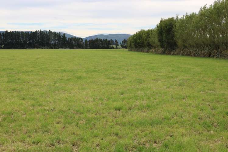 195 Dunn and Cody Road Riversdale_19