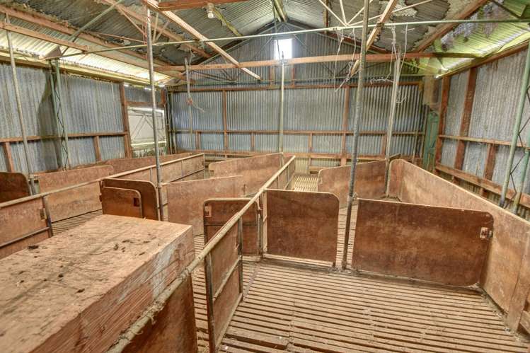 1173 Karahaki Road Waverley_25