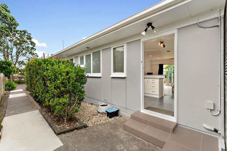 3/29 Ballarat Street Ellerslie_11