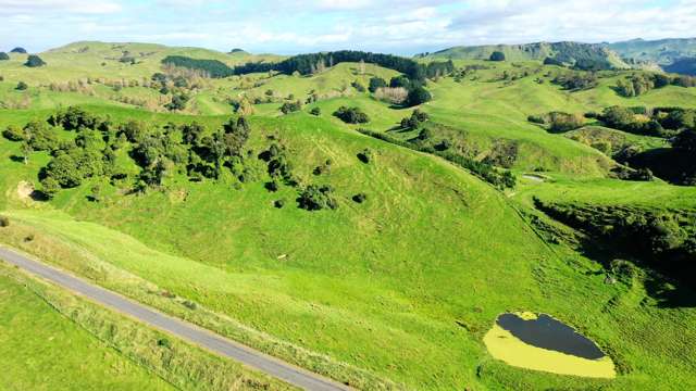 1793 Te Uri Road Rangitikei Surrounds_3