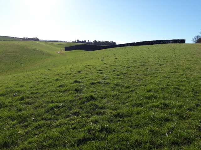 211 Whitstone-Five Forks Road Five Forks and Surrounds_2