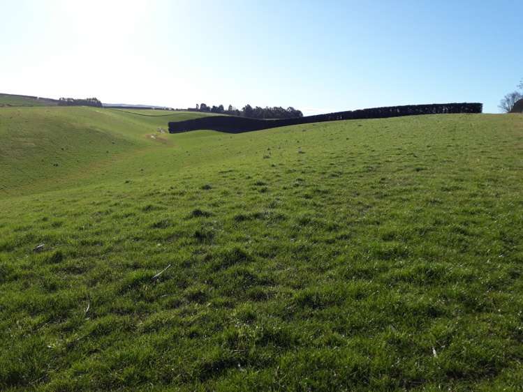 211 Whitstone-Five Forks Road Five Forks and Surrounds_2