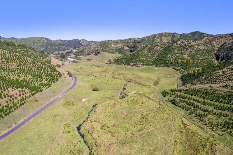 2560 Rawhitiroa Road Eltham_29